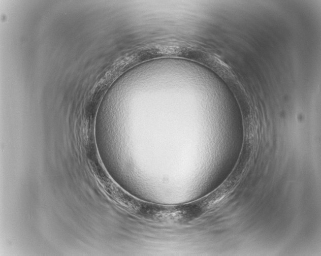 X0000054470213200508270137