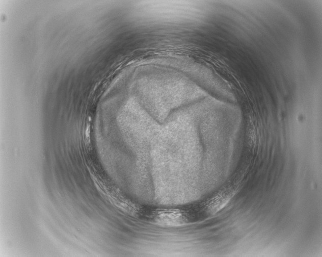 X0000054470214200508270137