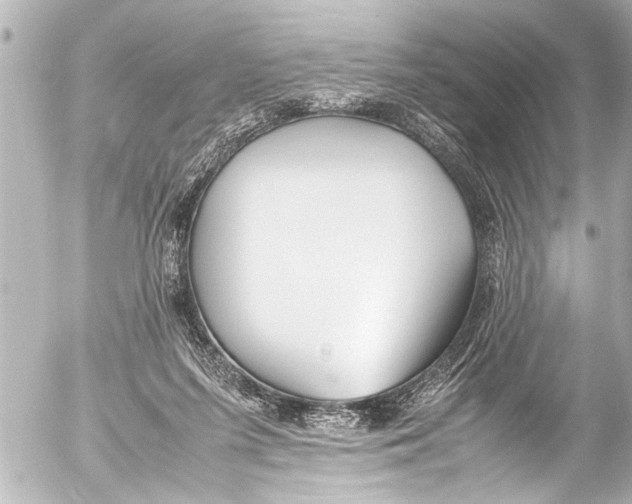 X0000054470215200508270137