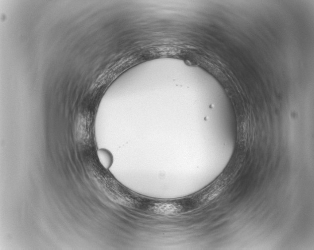 X0000054470218200508270137