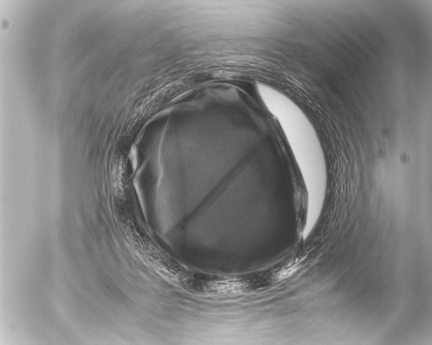 X0000054470219200508270137