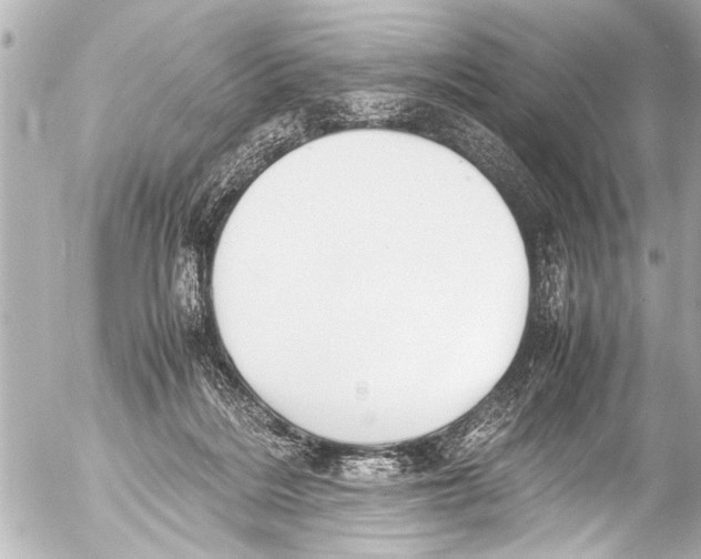 X0000054470220200508270137