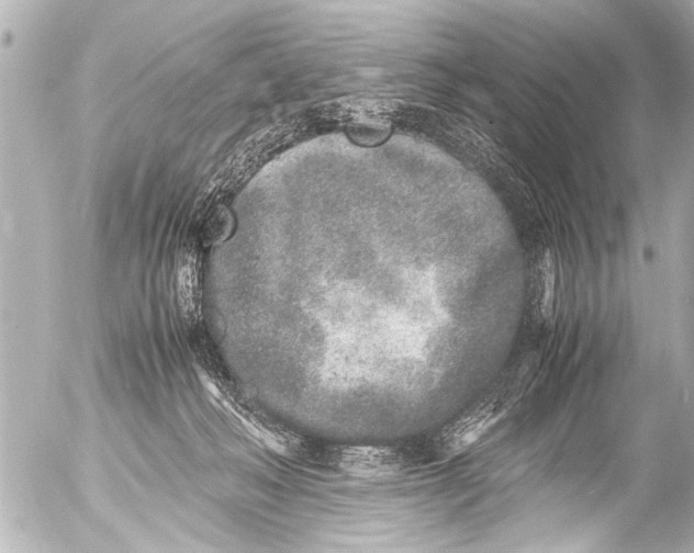 X0000054470222200508270137