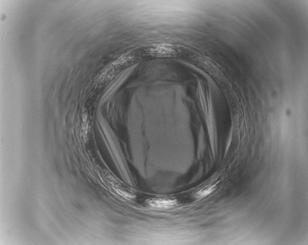 X0000054470223200508270137