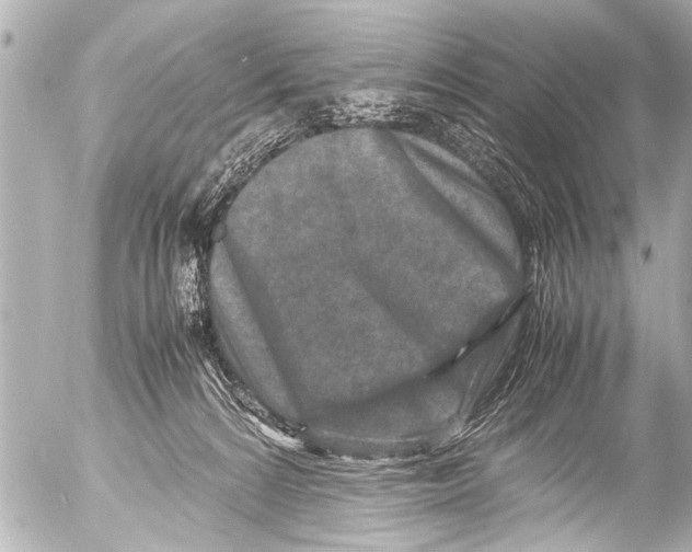 X0000054470224200508270137