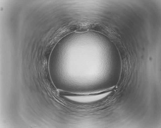 X0000054470225200508270137