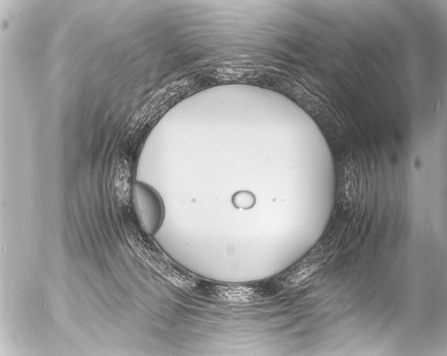 X0000054470226200508270137