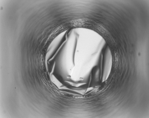 X0000054470228200508270137