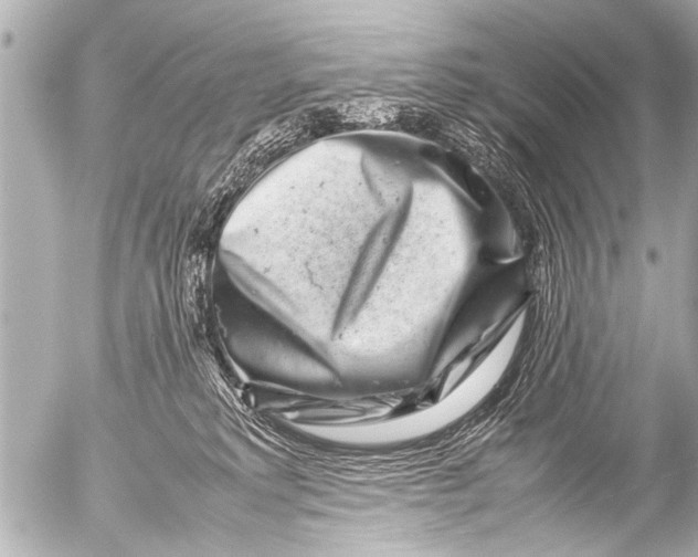 X0000054470229200508270137