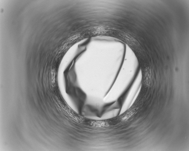 X0000054470230200508270137