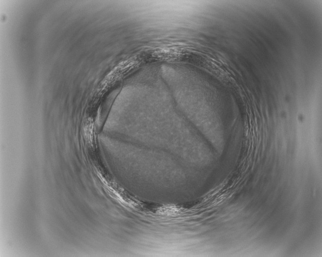 X0000054470231200508270137