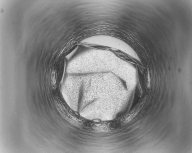 X0000054470232200508270137