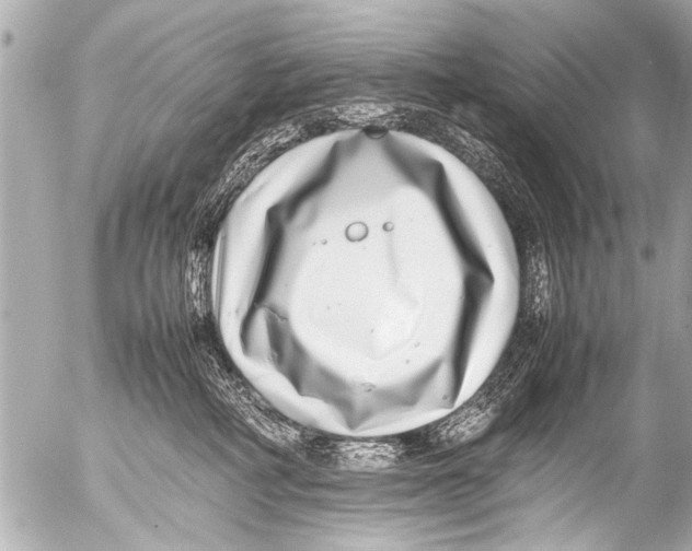 X0000054470234200508270137