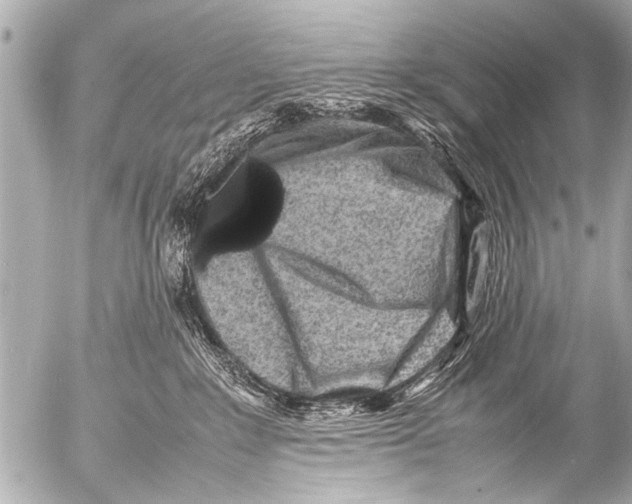 X0000054470235200508270137