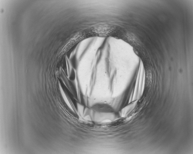 X0000054470237200508270137