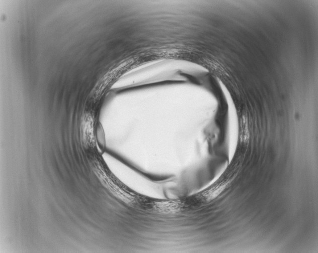 X0000054470238200508270137