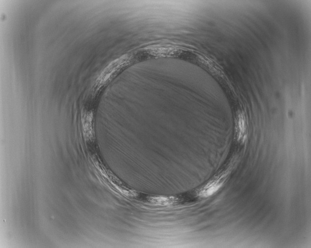 X0000054470239200508270137