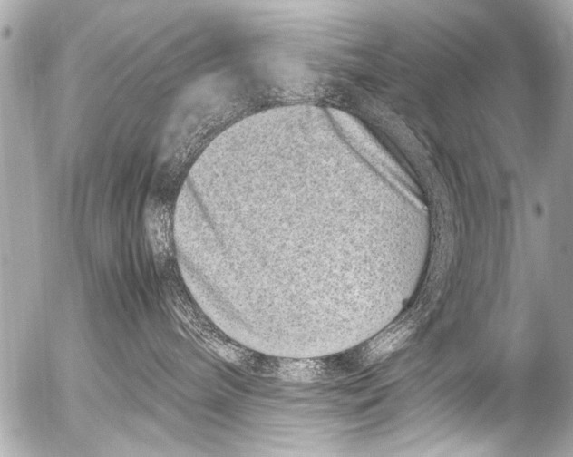 X0000054470240200508270137