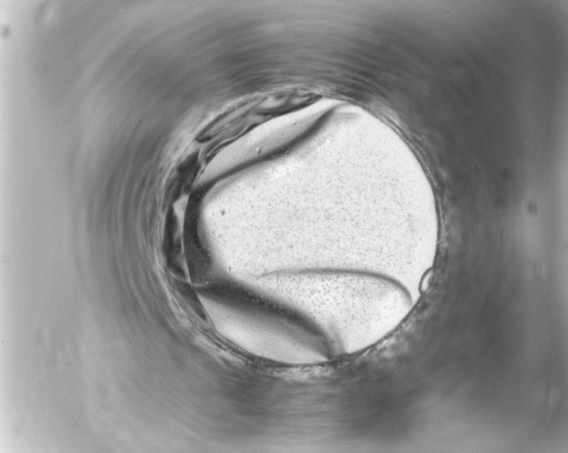 X0000054470241200508270136