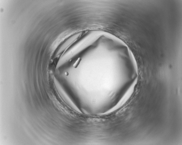 X0000054470242200508270136