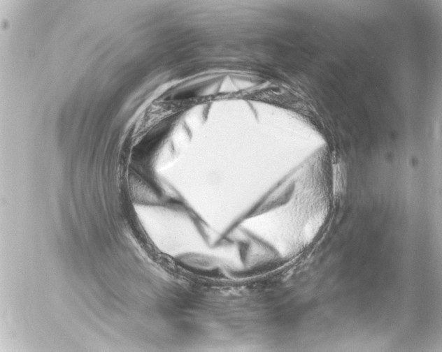 X0000054470243200508270136