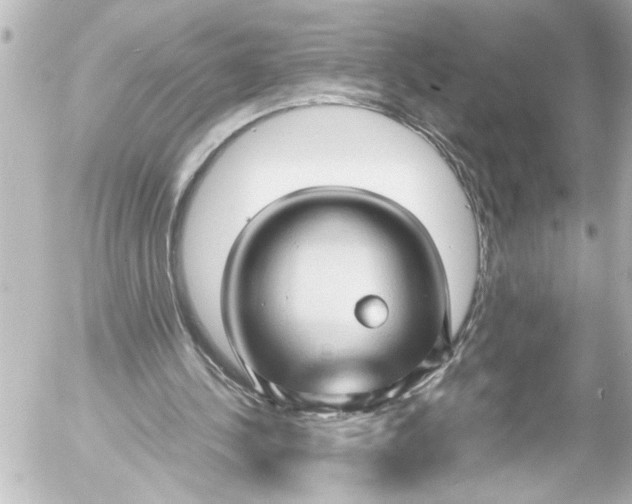 X0000054470244200508270136