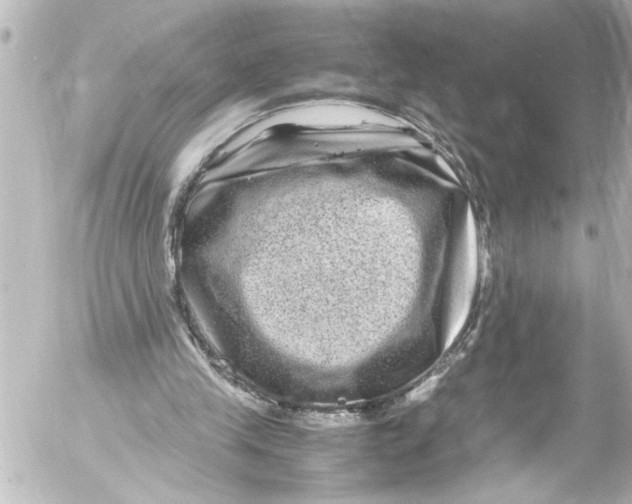 X0000054470245200508270136