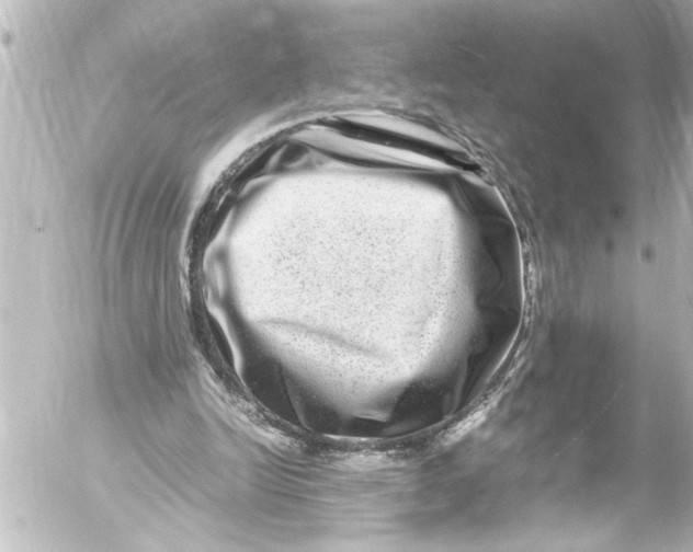 X0000054470246200508270136