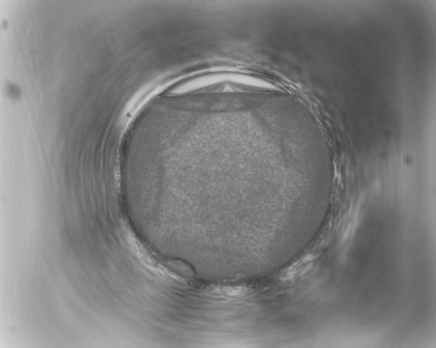 X0000054470247200508270136