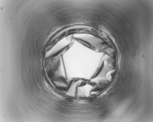 X0000054470249200508270136