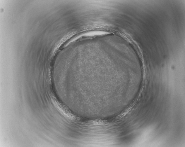 X0000054470250200508270136