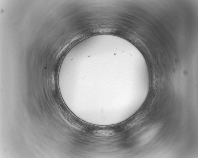 X0000054470251200508270136