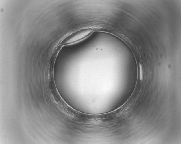 X0000054470252200508270136