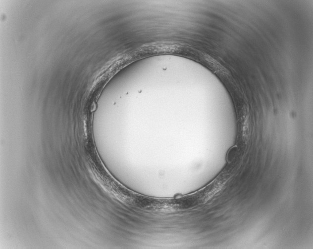 X0000054470254200508270136