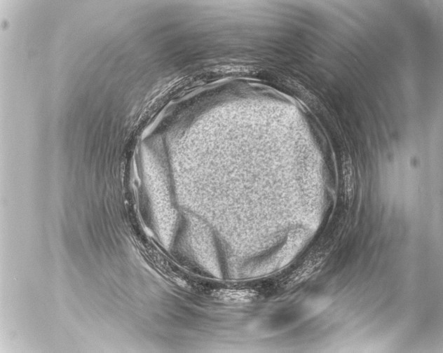 X0000054470255200508270136