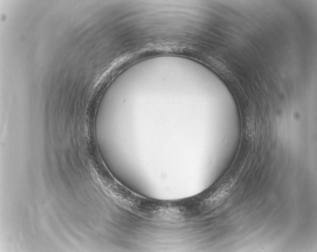 X0000054470256200508270137