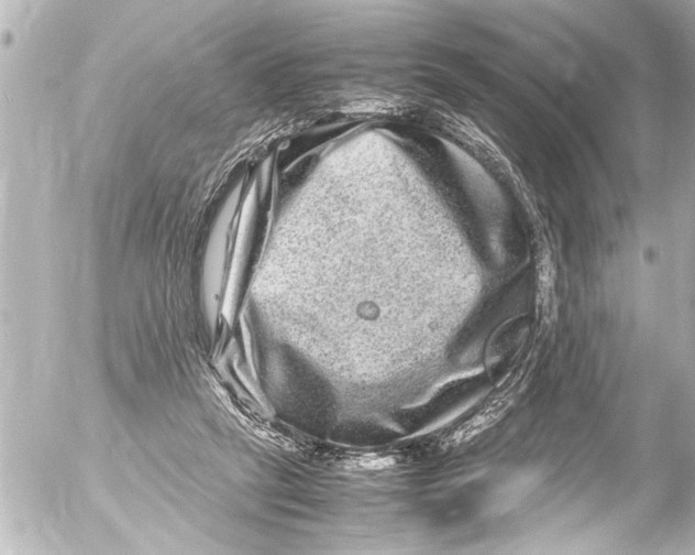 X0000054470257200508270137