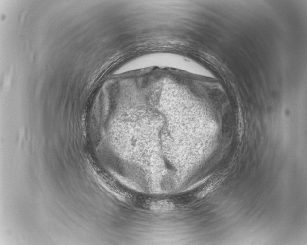 X0000054470258200508270137