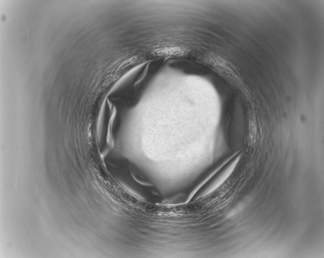 X0000054470259200508270137