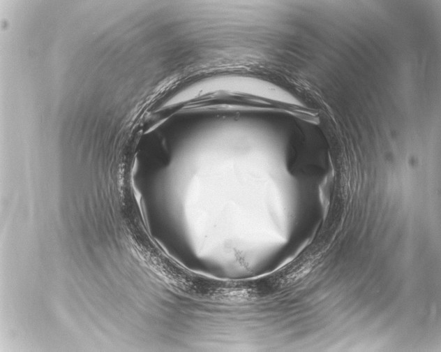 X0000054470260200508270137