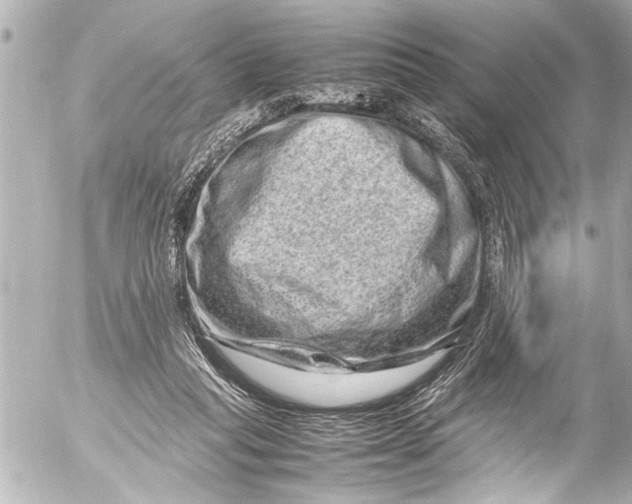 X0000054470261200508270137