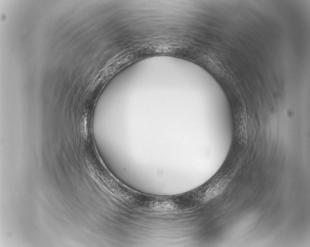 X0000054470262200508270137