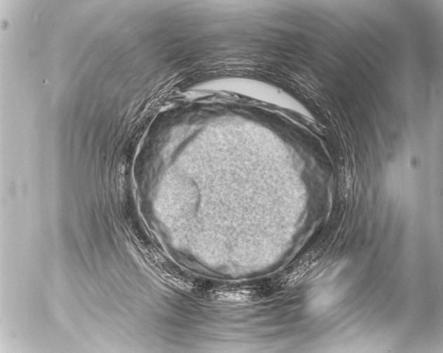 X0000054470263200508270137