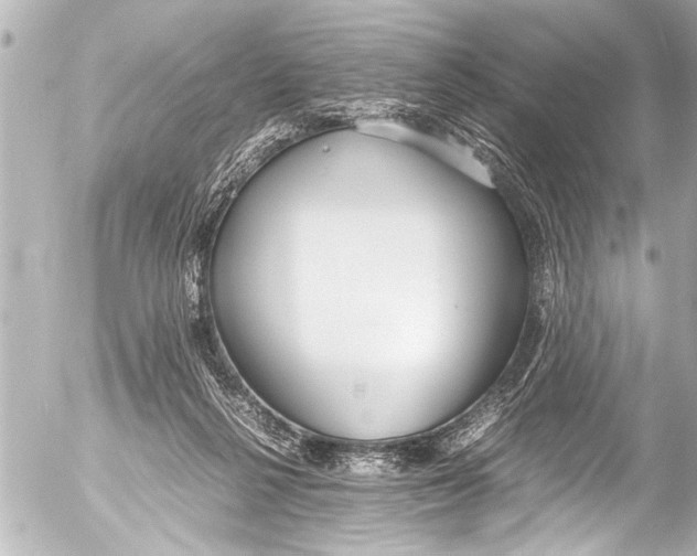 X0000054470264200508270137