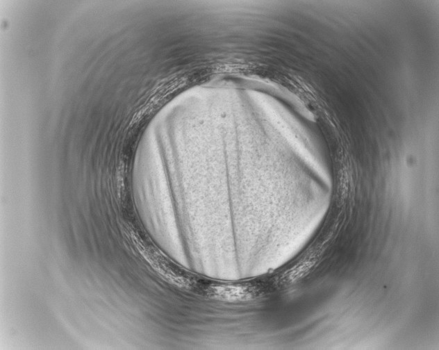 X0000054470265200508270137