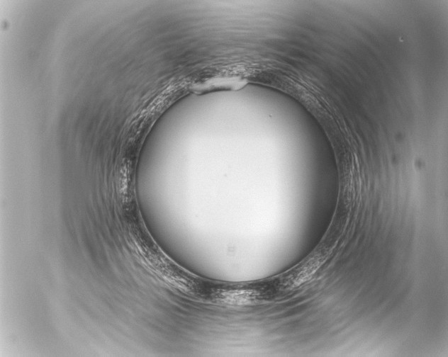 X0000054470268200508270137