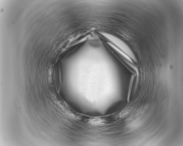 X0000054470269200508270137