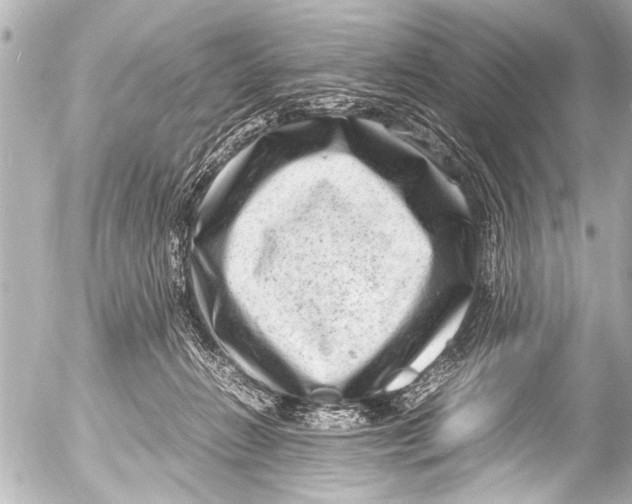 X0000054470270200508270137