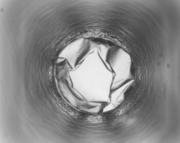 X0000054470271200508270137