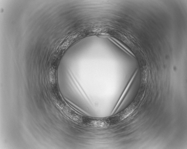 X0000054470272200508270137